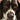 A_Very_Nice_Dog's avatar