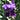 Rlp's avatar