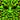 Eregyrn's avatar