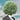 CONCEPTUALVOICE's avatar