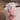 DirtyBird's avatar