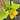 JLyon's avatar