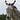 Abigail the Donkey's avatar