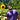 Bryan Crumpley's avatar