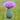 Thistle Sister's avatar