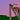 Bob B.'s avatar
