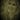 Liliom's avatar