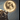 Damn the torpedoes's avatar