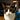 Felinity's avatar