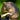 Ratty's avatar
