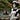 Buzen's avatar