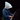 Bill Anschell's avatar