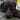 The Sentient Dog Group's avatar