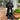 Landscape Artist's avatar