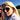 Stephanie 🏴󠁧󠁢󠁥󠁮󠁧󠁿 🇨🇦's avatar