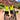 BikerChick's avatar