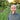 Stuart Bourne's avatar
