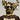 Juan Ford's avatar