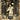 Buckwheat Blues's avatar