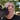Jack Whalen's avatar