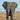 The Elephant in the Room's avatar