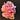 Grow Some Labia's avatar