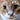 LitLampstand's avatar