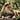 The Resting Lion's avatar