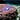 Ron Wobbegong's avatar