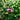 Normal's avatar