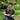 Thomas Winward's avatar