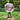 Matthew Corson-Finnerty's avatar