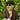 Daniel Dunne's avatar