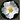 CherokeeRose's avatar