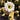 Tama2U's avatar