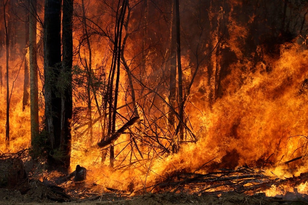 Australia wildfires