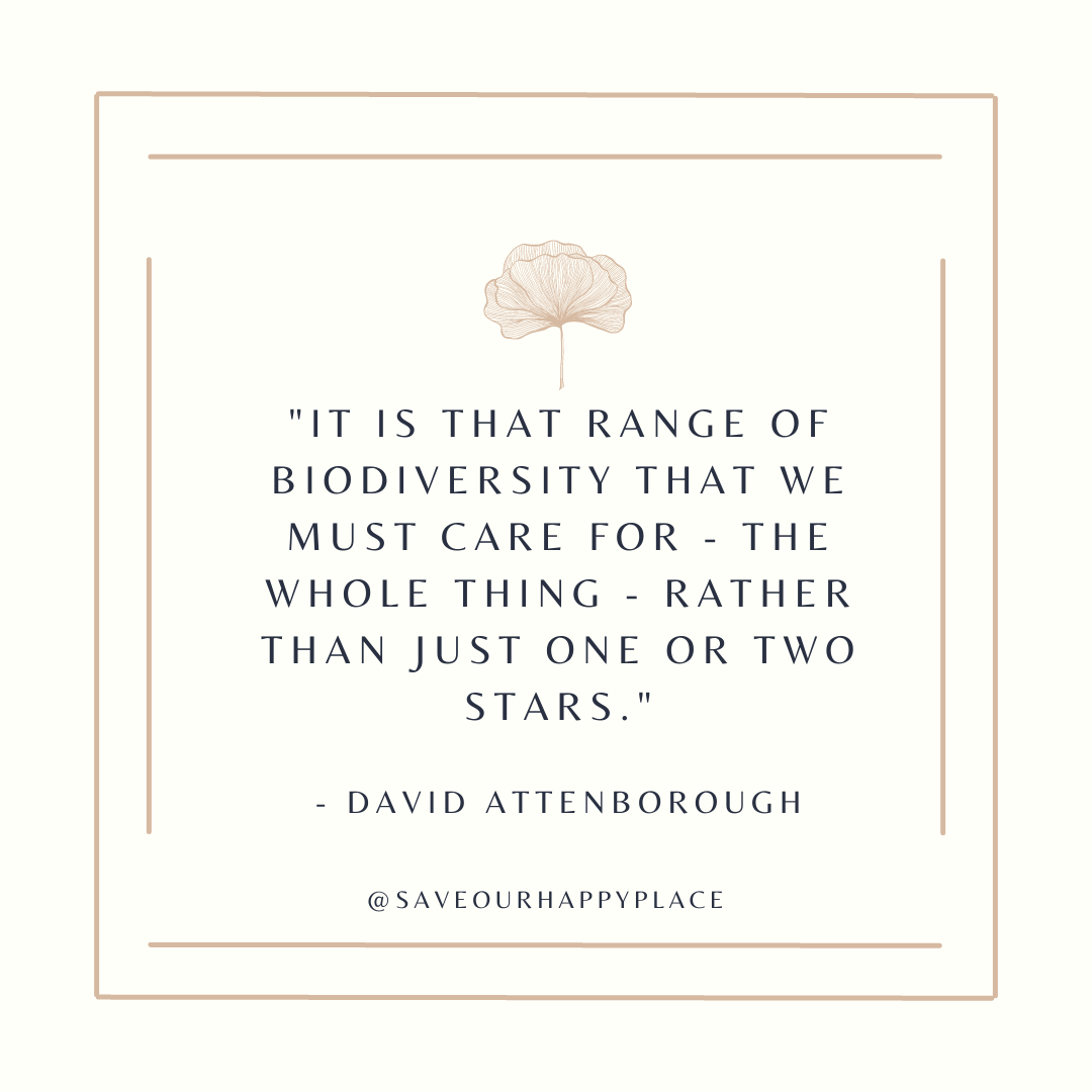 It is that range of biodiversity that we must care for - the whole thing - rather than just one or two stars.  - David Attenborough