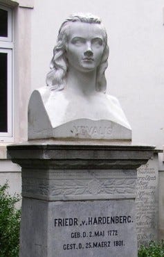 Novalis – organic radicals