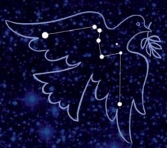 Columba Constellation Spirit of Peace - Spirit of Peace