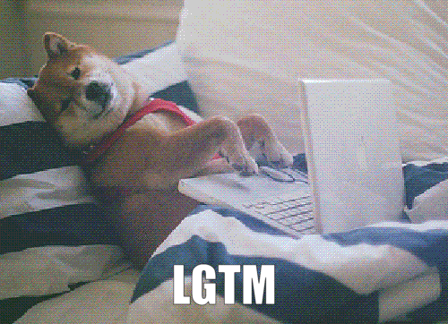 LGTM Gifs | Pull request approval gifs