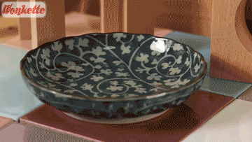 Pet frog in a bowl of water and on toy blocks