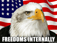 American-freedom GIFs - Get the best GIF on GIPHY
