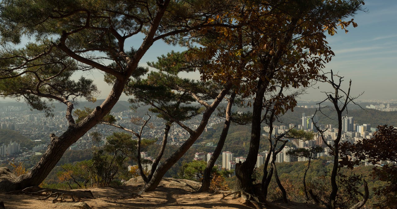 One of the author’s favorite lunch spots, overlooking the northeastern edge of Seoul city.