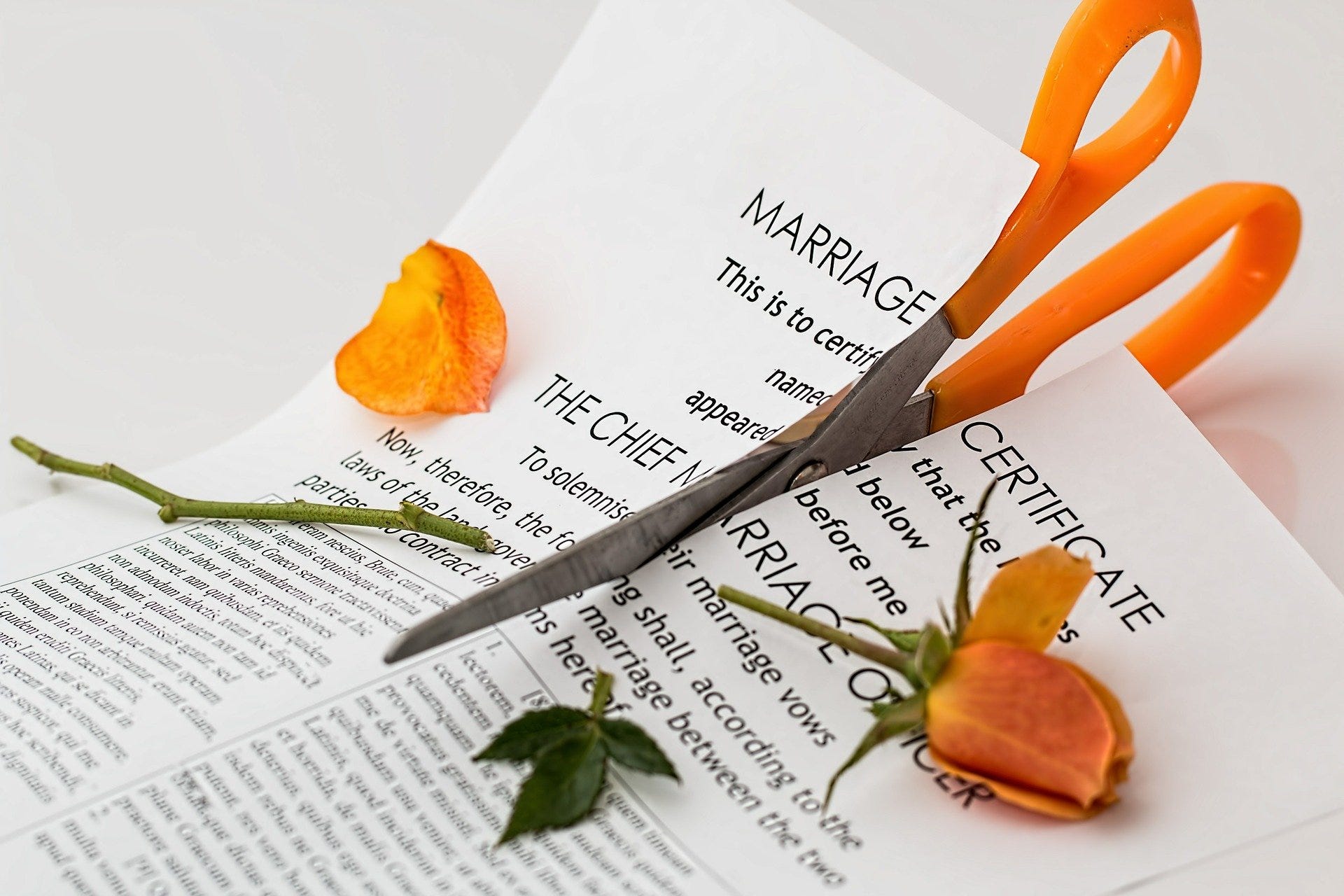 A marriage contract with a rose thereon, both cut with a pair of scissors