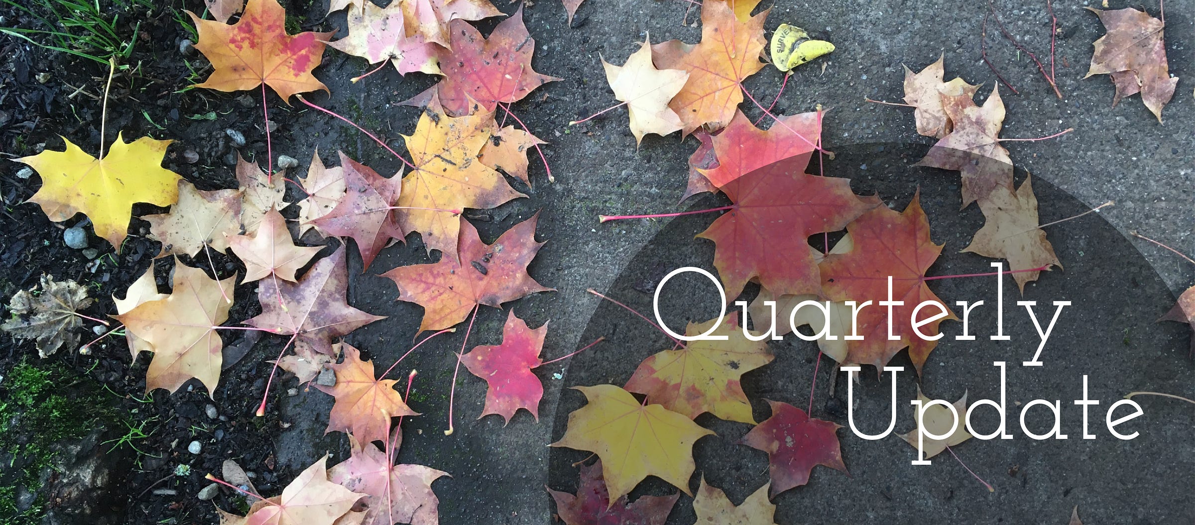 Photograph of fallen maple leaves on grass and concrete. The leaves are a mix of colours: Brown, yellow, red, orange. In the lower right corner of the image is text that reads: Quarterly Update