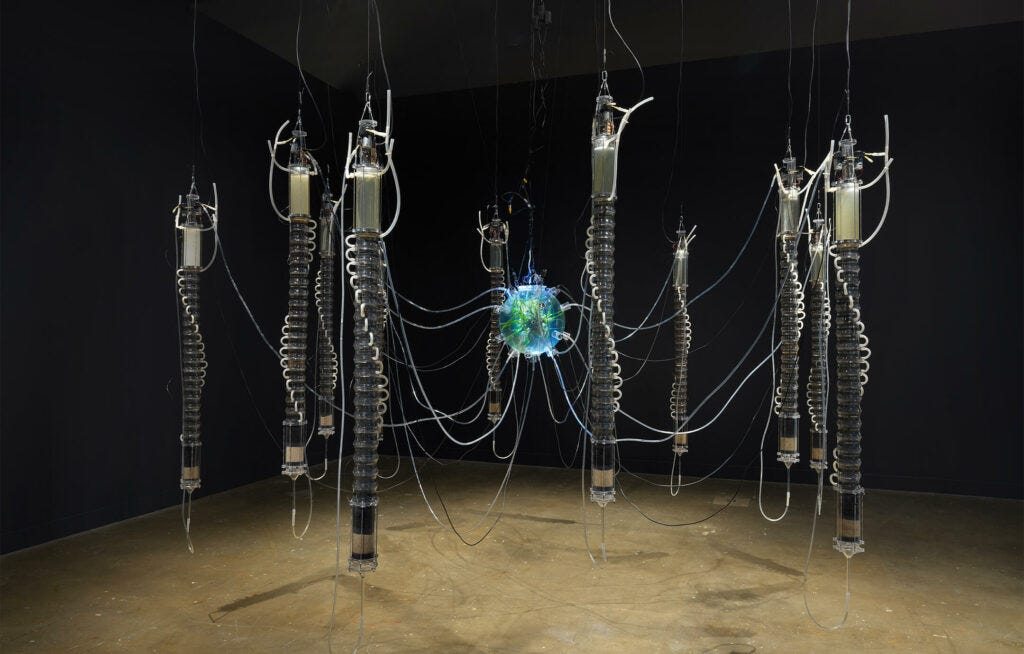Photograph taken in a darkened room of a glowing orb filled with what look like plants connected by clear rubber tubes to ten vertical cylinders with wires and liquids. Everything is suspended from the ceiling. Photograph taken in a darkened room of a glowing orb filled with what look like plants connected by clear rubber tubes to ten vertical cylinders with wires and liquids. Everything is suspended from the ceiling.