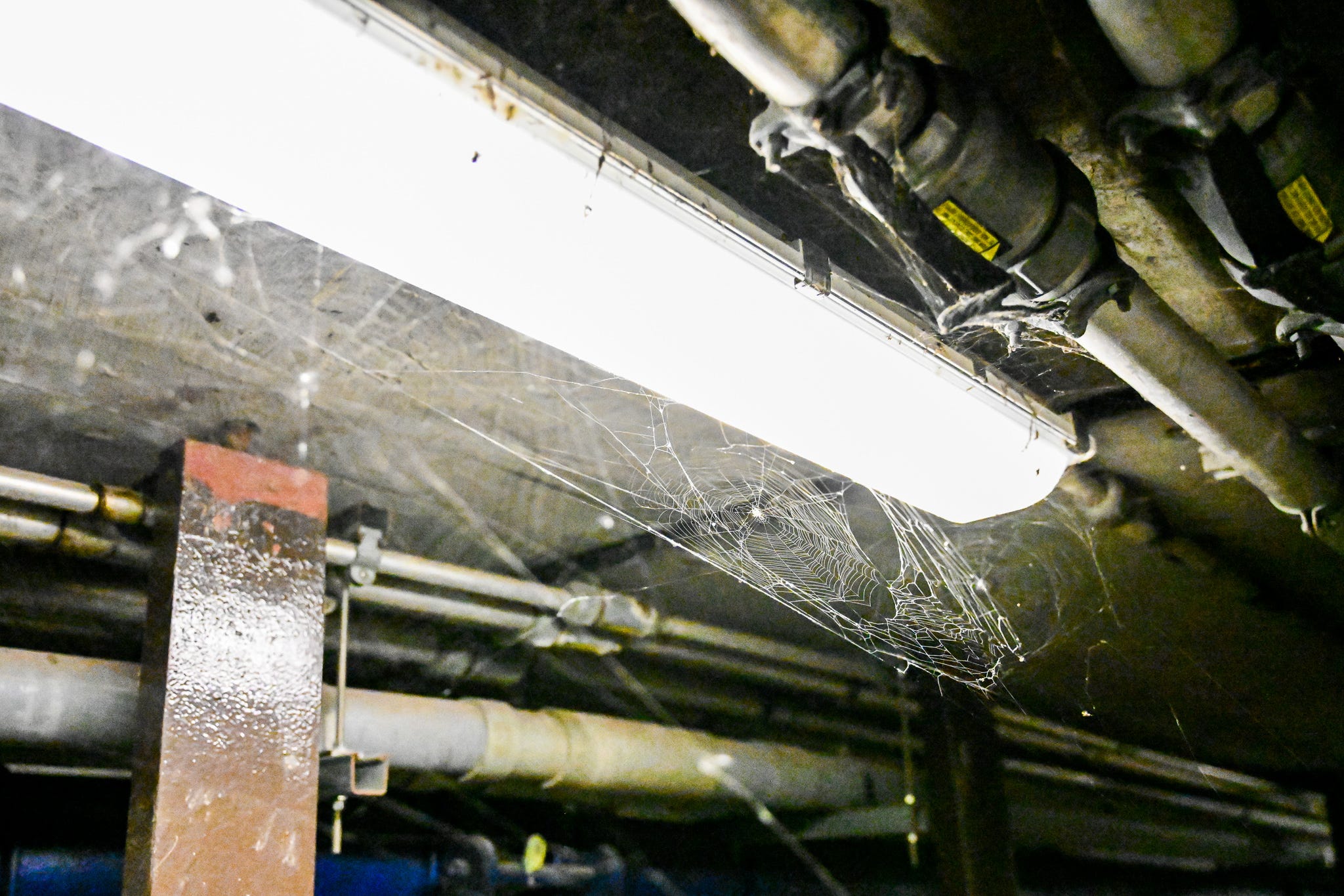 spiderwebs stretch between pipes and a long white LED overhead light in a tunnel underground. the glow illuminates columns and duct work in the background that fade into darkness farther away from the source.