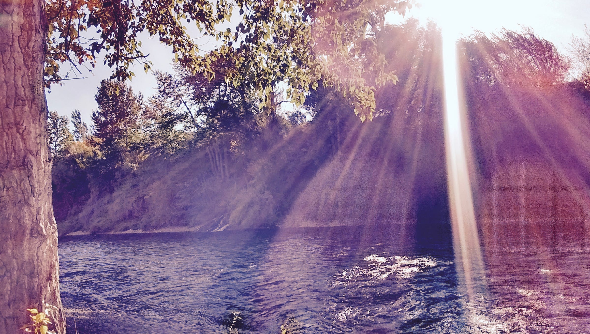 Sunbeams shining on a river