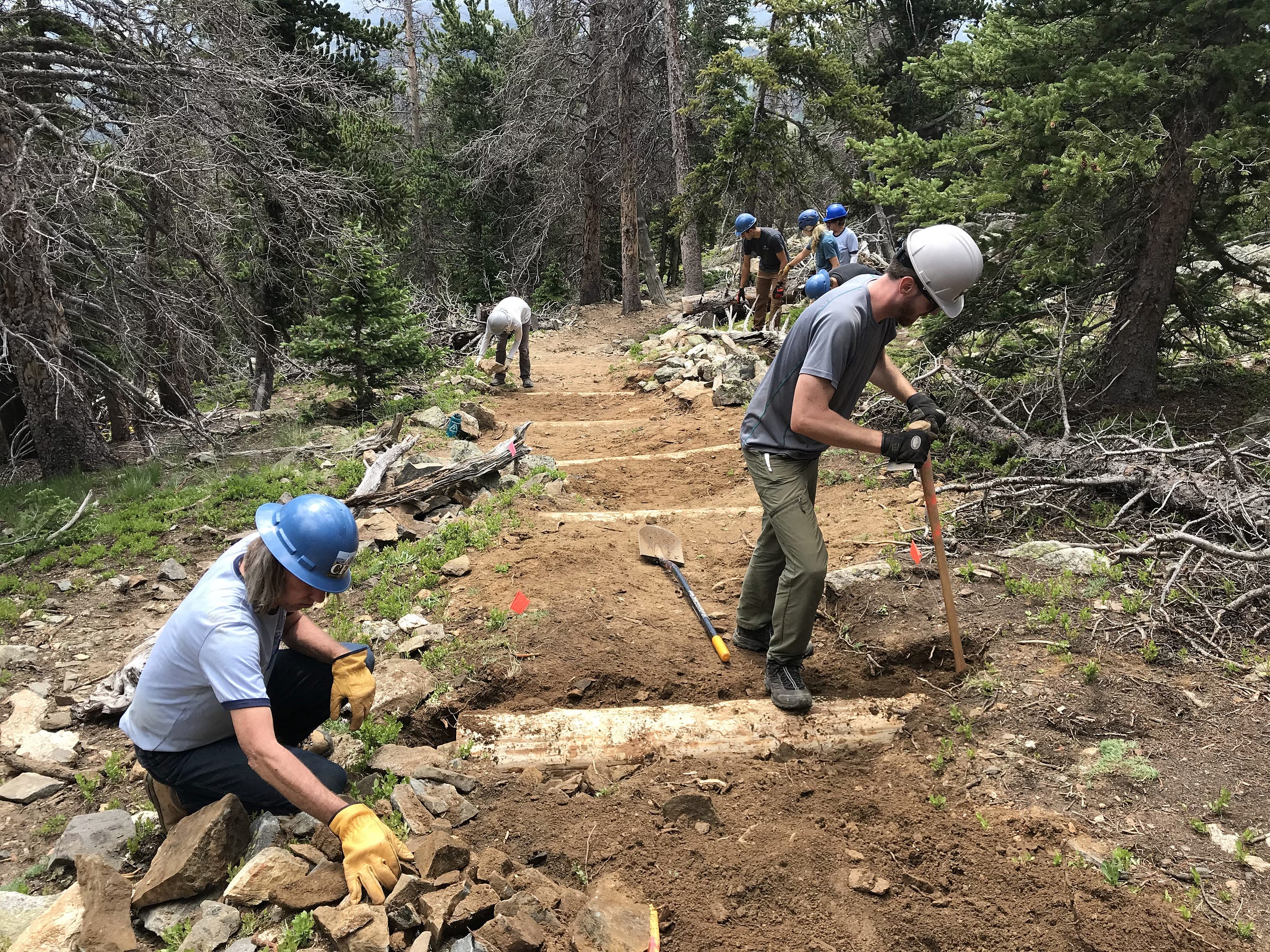 A crew works to install timber steps to grade a trail