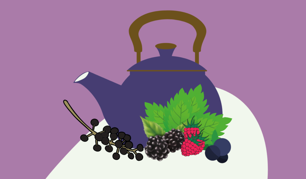mint and forest fruits tea illustration